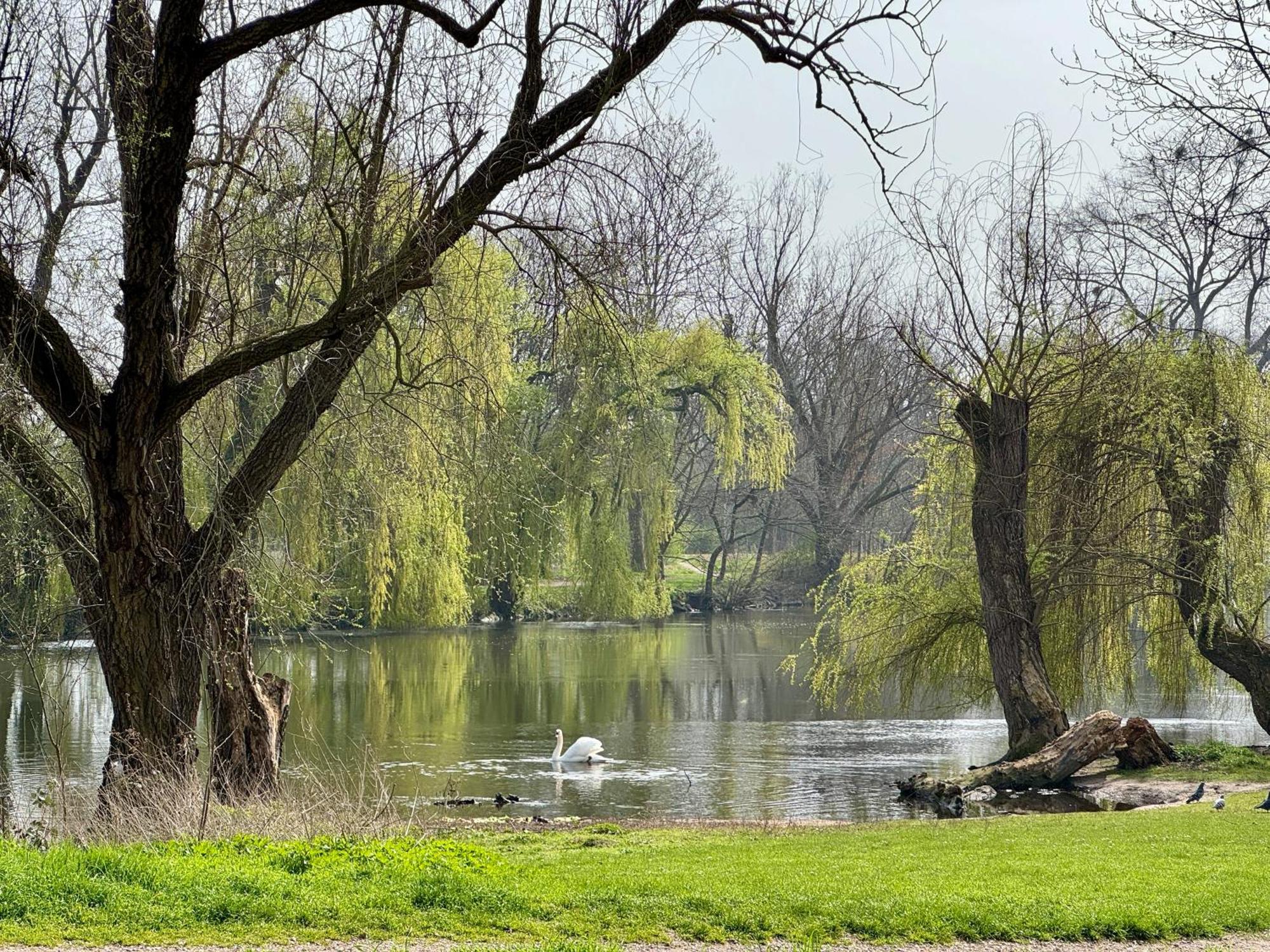 Strasbourg, Appartement Cosy Au Bord De L Eau 외부 사진